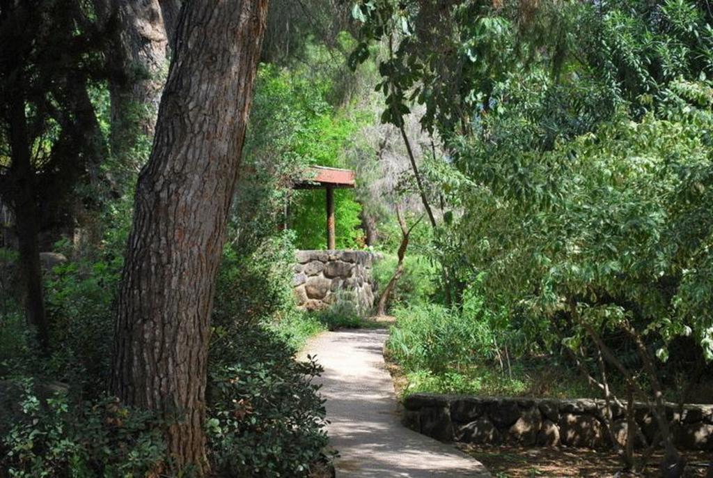 Vered Hagalil Holiday Village Hotel Chorazim Luaran gambar